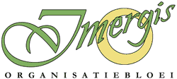Logo Imergis